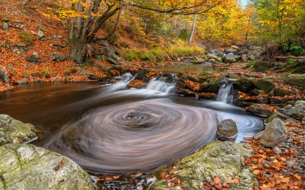 A peaceful stream winding through a lush nature setting - a serene HD desktop wallpaper.