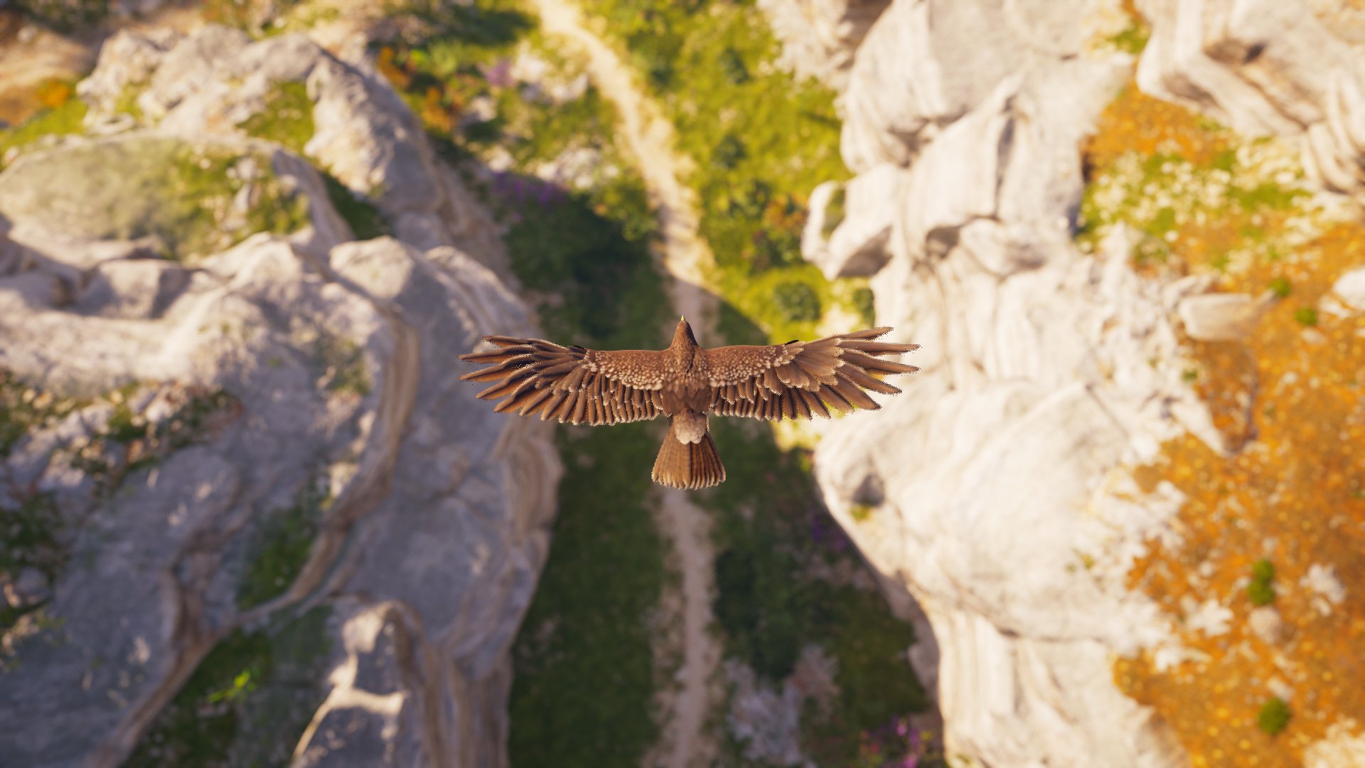 Video Game Assassin's Creed Odyssey HD Wallpaper | Background Image