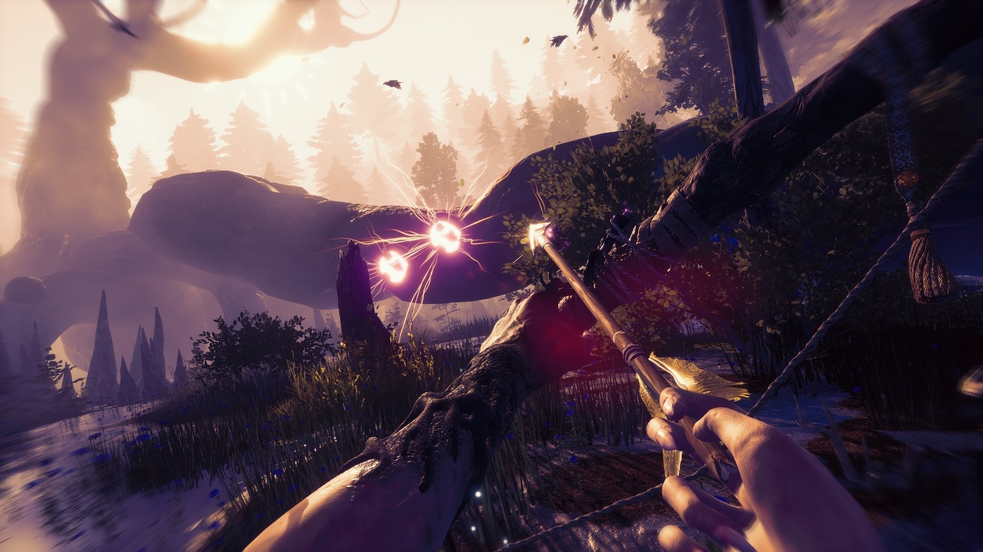 HD wallpaper featuring a first-person view of an archer aiming an arrow towards a mystical light in a fantasy forest setting, tagged with Blacktail.