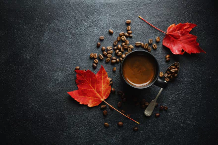 food coffee HD Desktop Wallpaper | Background Image