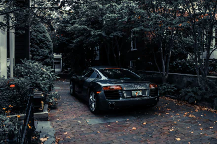  Audi R8 Sports Car by Vlad Alexandru Popa