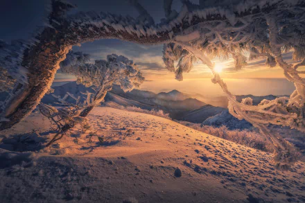 South Korea nature winter HD Desktop Wallpaper | Background Image