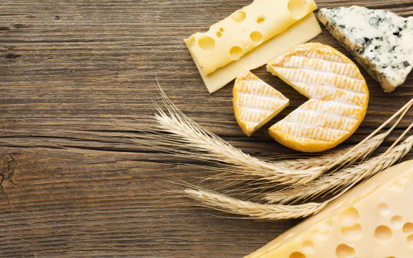 food cheese HD Desktop Wallpaper | Background Image