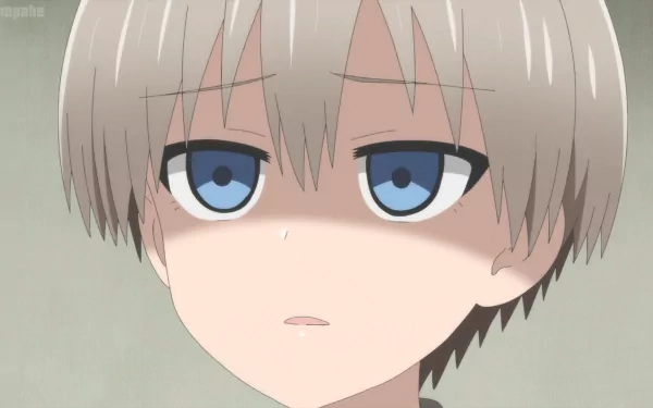 Hana Uzaki Anime Uzaki-chan Wants to Hang Out HD Desktop Wallpaper | Background Image