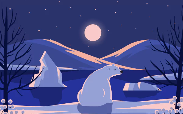 Animal polar bear HD Desktop Wallpaper | Background Image