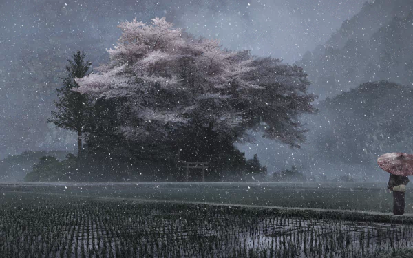 Anime landscape anime landscape HD Desktop Wallpaper | Background Image