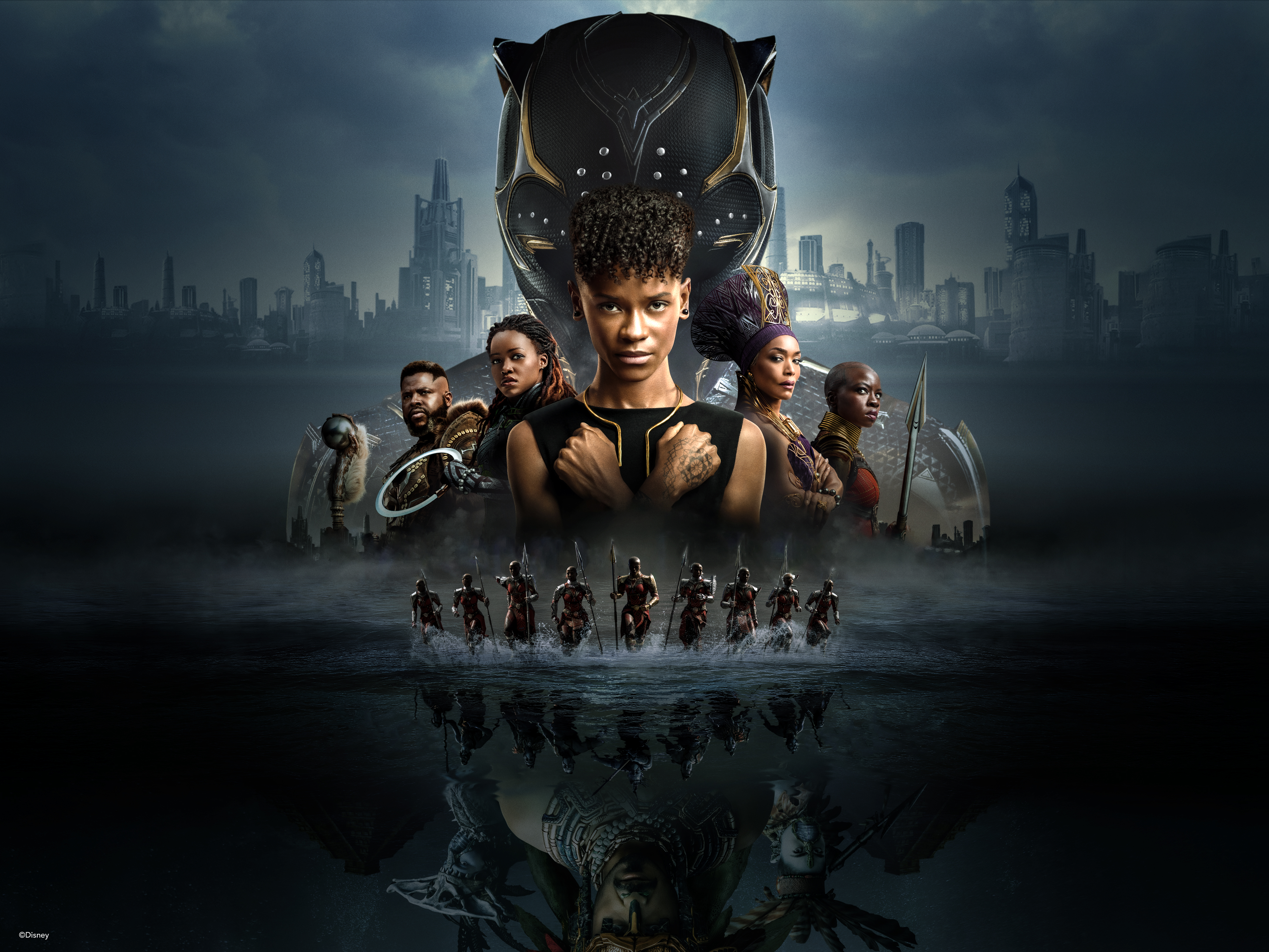 The Wakanda Forever 4k HD Movies 4k Wallpapers Images Backgrounds  Photos and Pictures