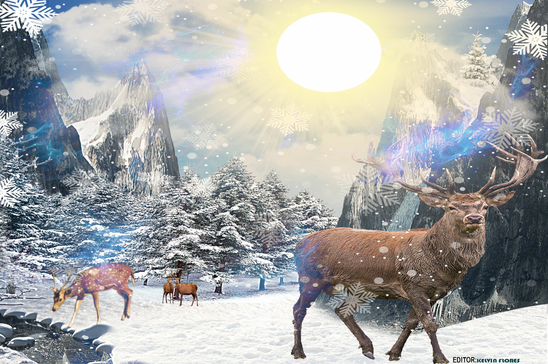 2K Quad HD PC desktop wallpaper showing deer in a snowy mountain scene: a stag in the foreground, other deer near frosted pines beneath a bright sun and falling snow.