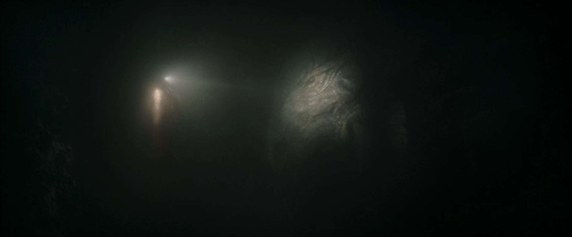 Download HD Wallpaper