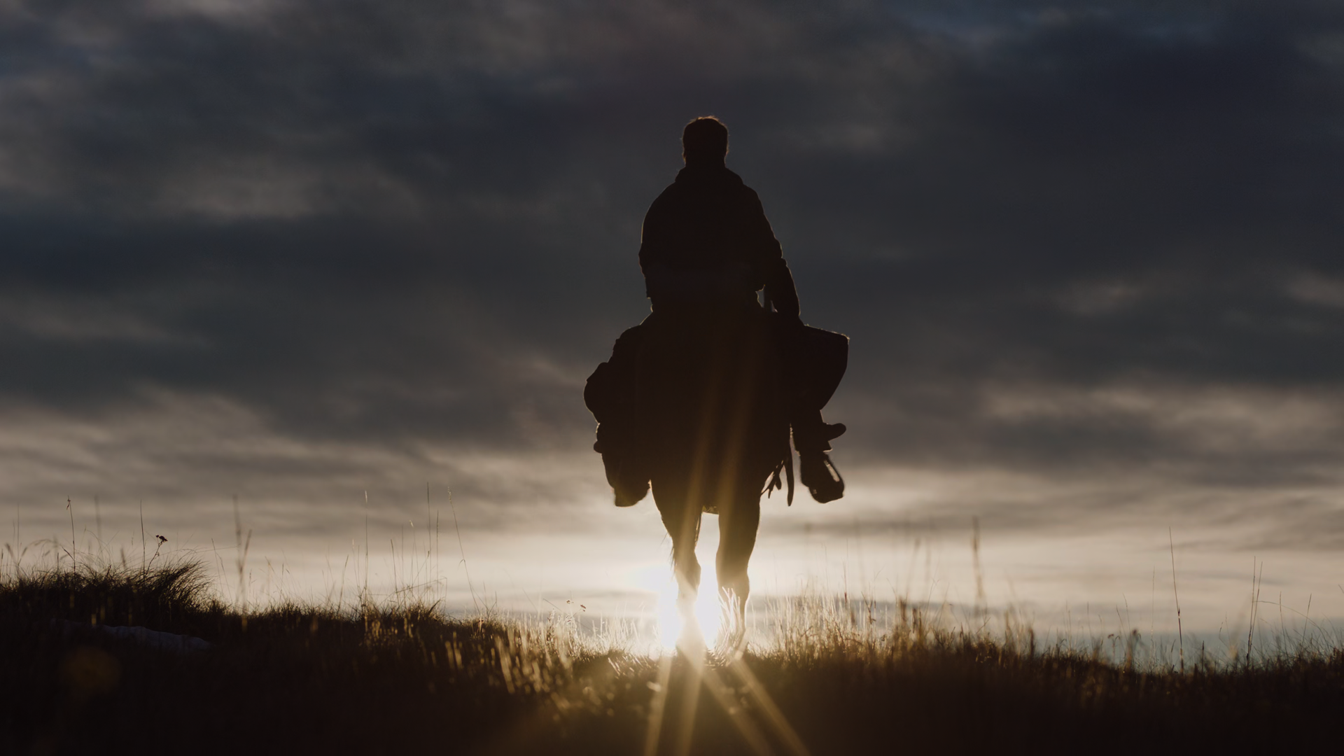 Download TV Show The Last Of Us 4k Ultra HD Wallpaper