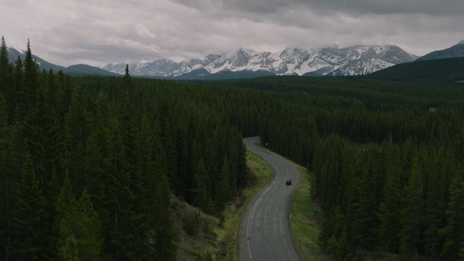 Download Nature TV Show The Last Of Us 4k Ultra HD Wallpaper