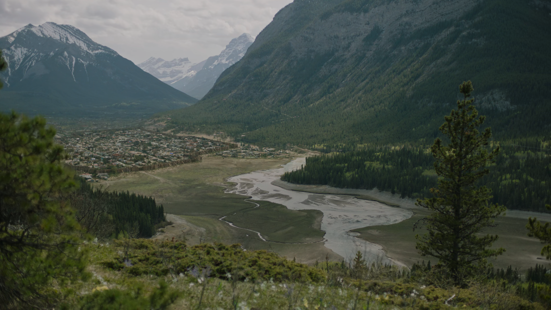 Download TV Show The Last Of Us 4k Ultra HD Wallpaper