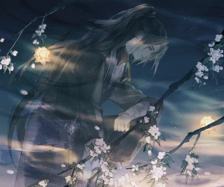 Anime The Husky and His White Cat Shizun HD Desktop Wallpaper | Background Image