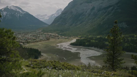  The last of us season 01-valley view