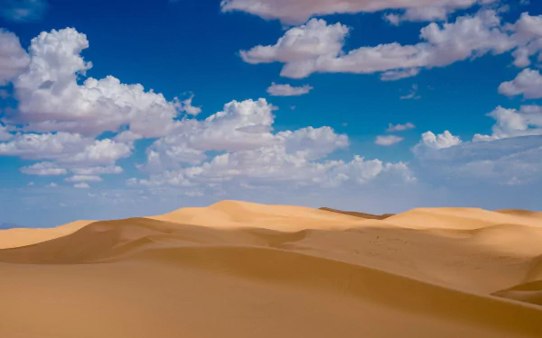 Golden sand dunes reaching to the horizon under the warm California sun, creating a serene natural desert landscape.