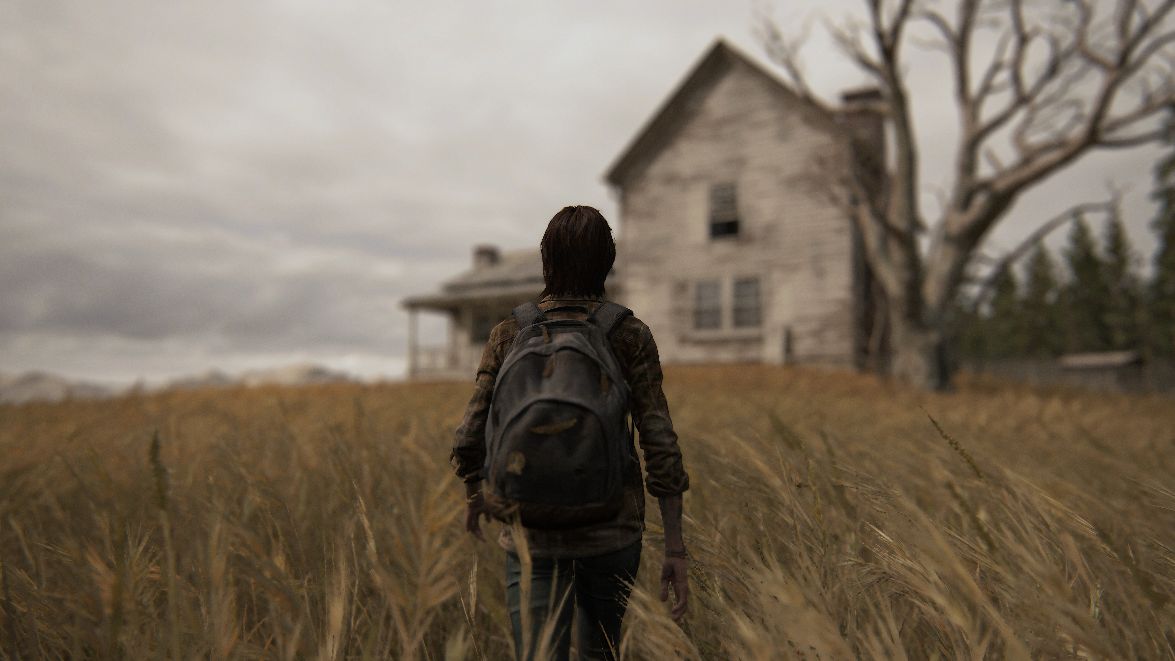 Ellie Wallpaper 4K, The Last of Us 2, PlayStation 4