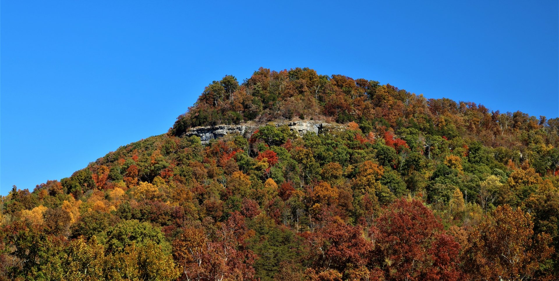 A vibrant fall foliage-covered hillside under a clear blue sky, captured in stunning 4K Ultra HD for a nature-inspired PC desktop wallpaper.