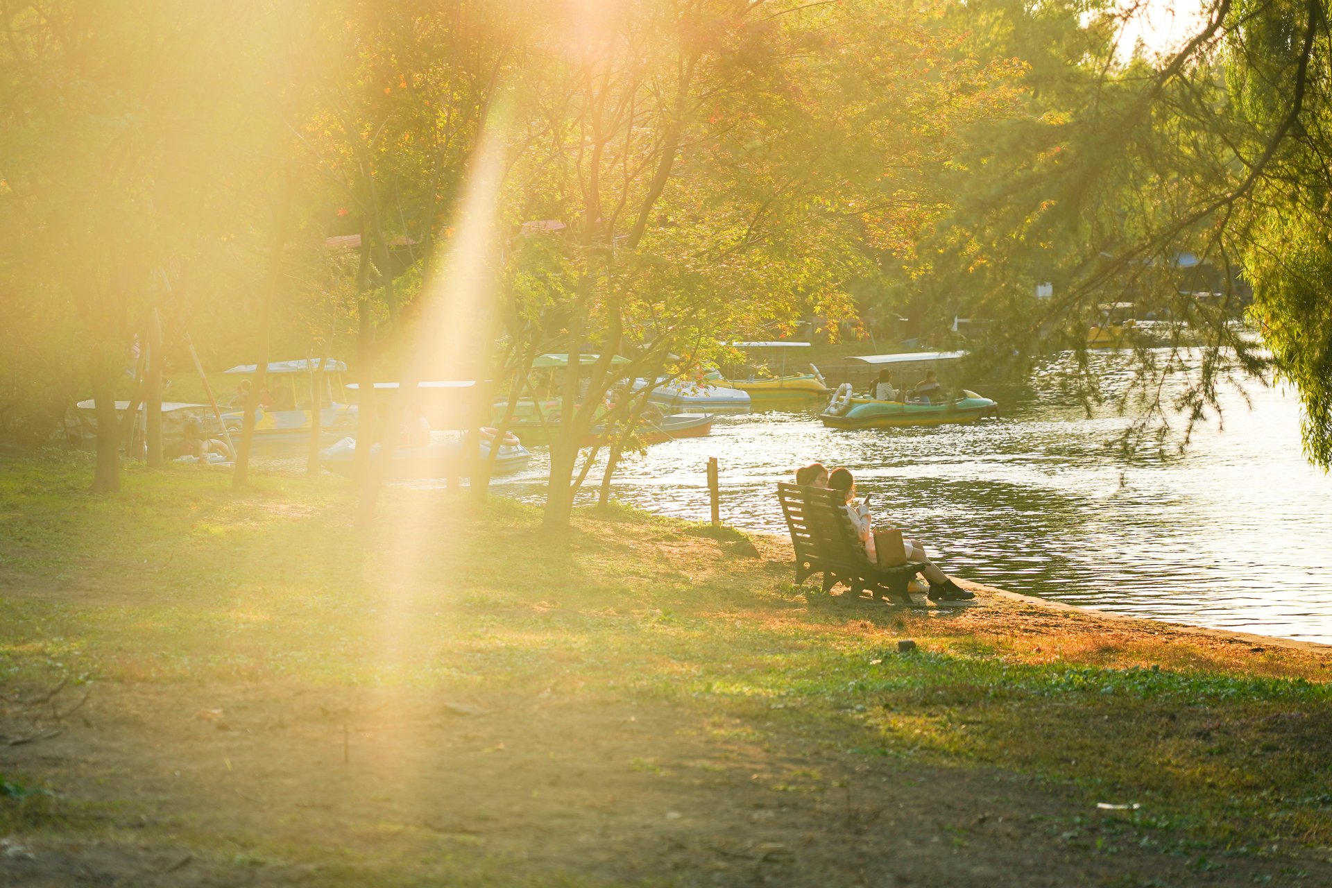 Download Photography Nature 4k Ultra HD Wallpaper by Calvin Kwok