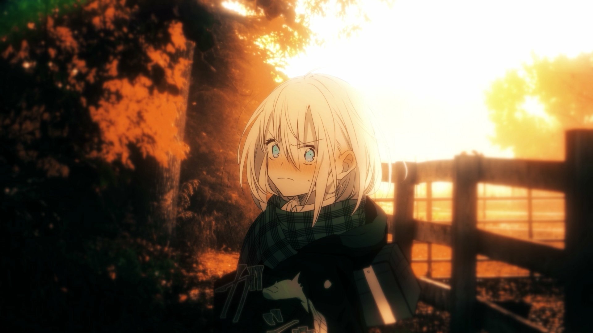 Download Shizuku 4k Ultra HD Wallpaper