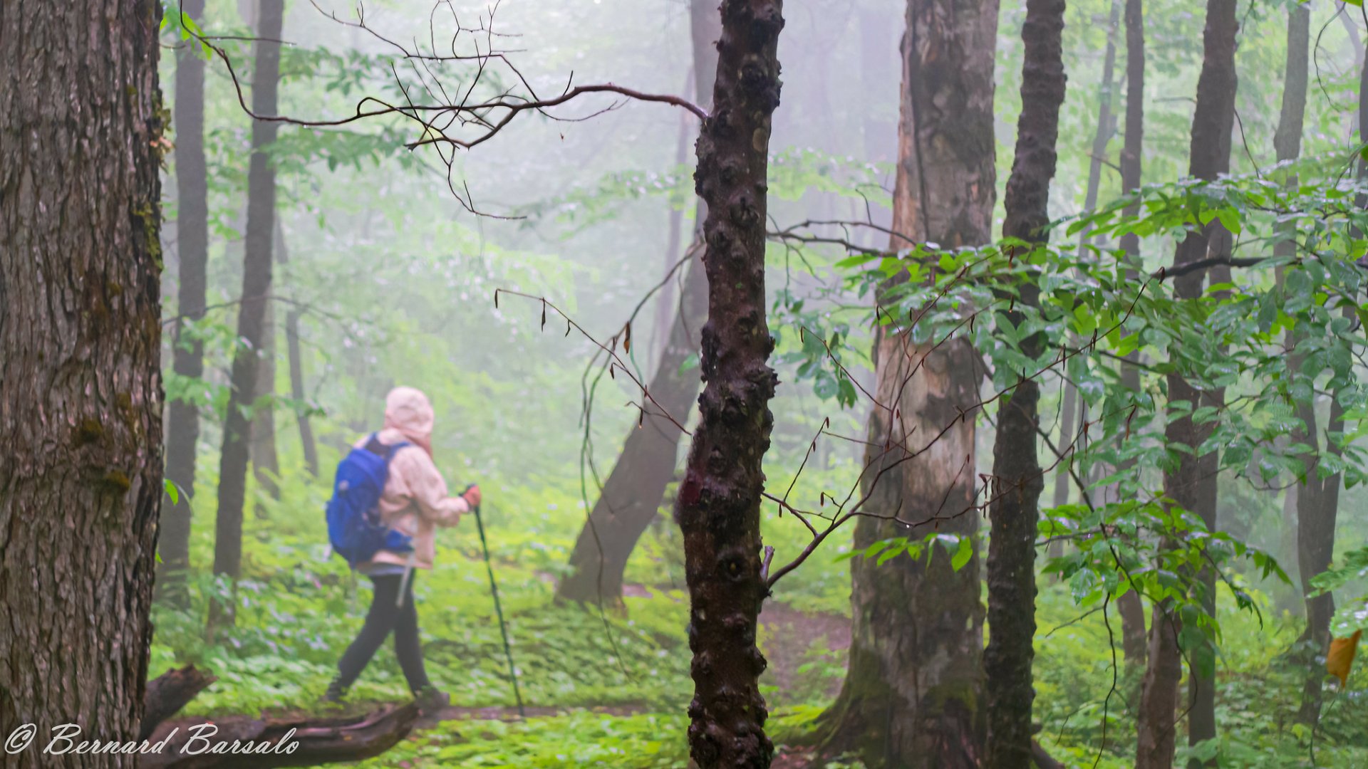 Download Man Made Quebec HD Wallpaper