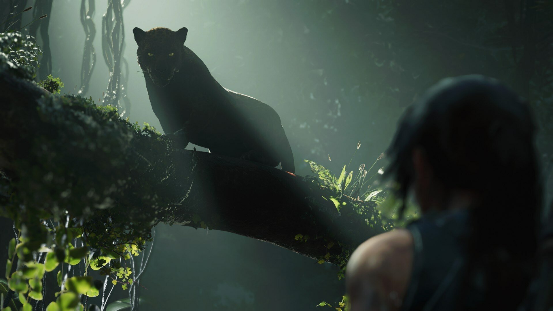 Shadow Of The Tomb Raider by Kahola