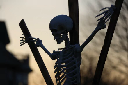A detailed skeleton figure posed against a dusky sky, capturing a spooky Halloween theme in 4K Ultra HD for PC desktop wallpaper.