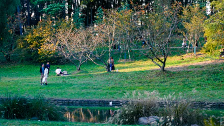 photography park HD Desktop Wallpaper | Background Image