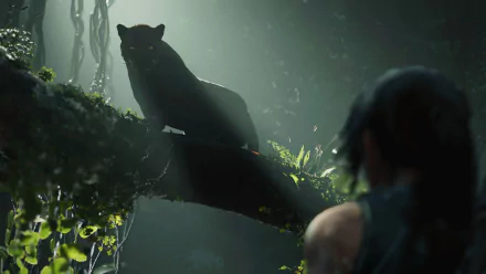  Shadow Of The Tomb Raider