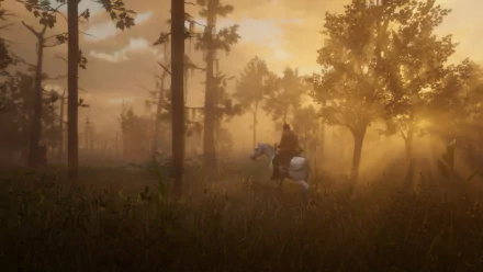  Red Dead Redemption 2