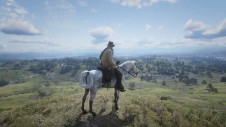  Red Dead Redemption 2