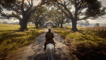  Red Dead Redemption 2