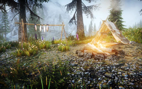  Cozy camp