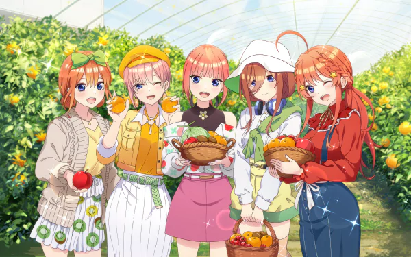 Itsuki Nakano Yotsuba Nakano Miku Nakano Nino Nakano Ichika Nakano Anime The Quintessential Quintuplets HD Desktop Wallpaper | Background Image