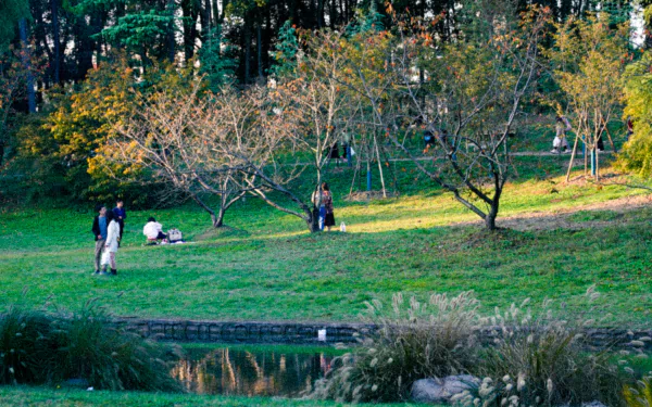 photography park HD Desktop Wallpaper | Background Image