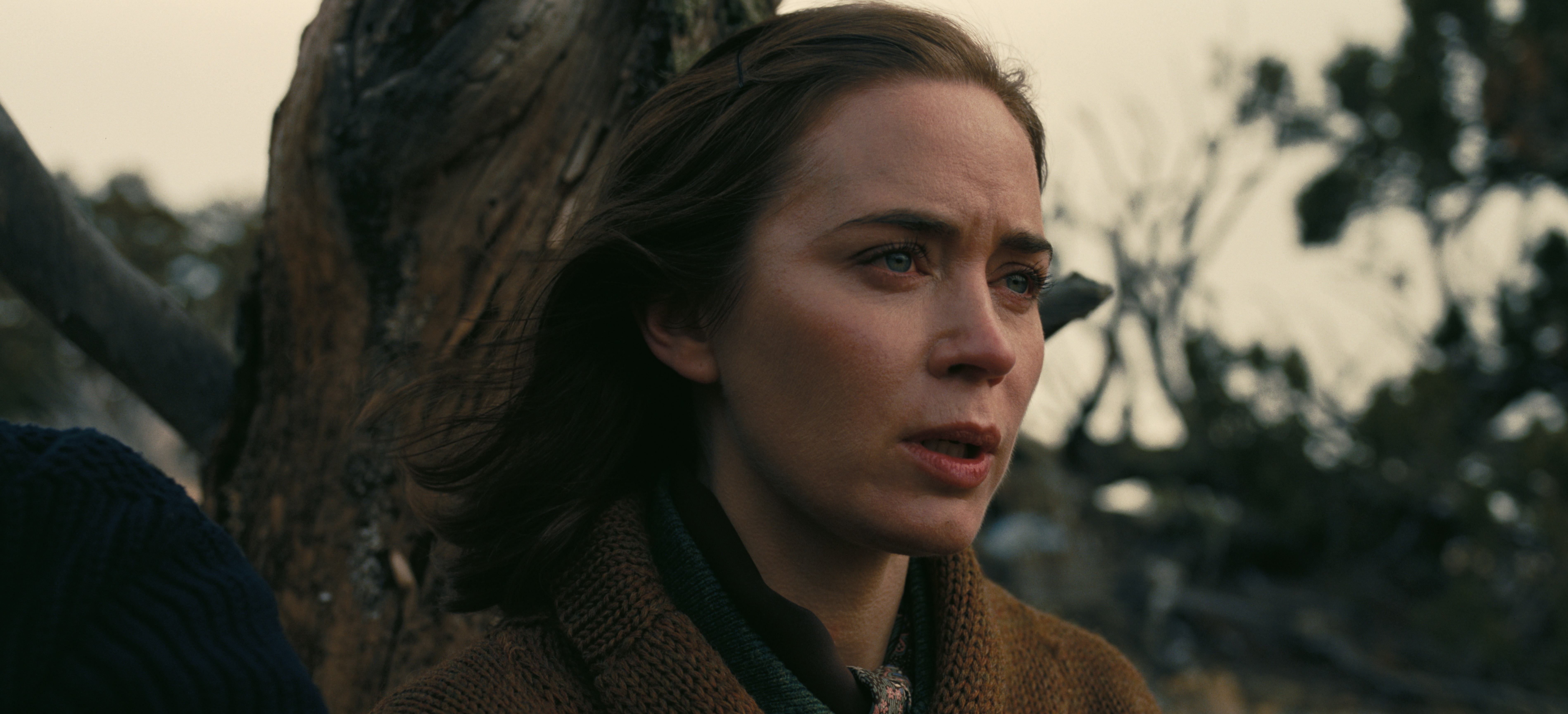 HD wallpaper featuring a still from the film Oppenheimer with Emily Blunt portraying a character, set against a natural backdrop, perfect for a desktop background.