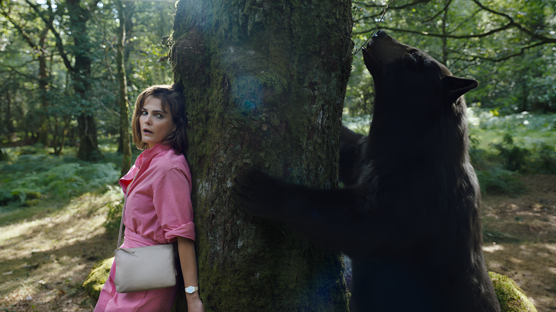 HD wallpaper of a surprised woman in a pink jacket standing next to a bear sniffing a tree trunk in a forest, tagged with Cocaine Bear.