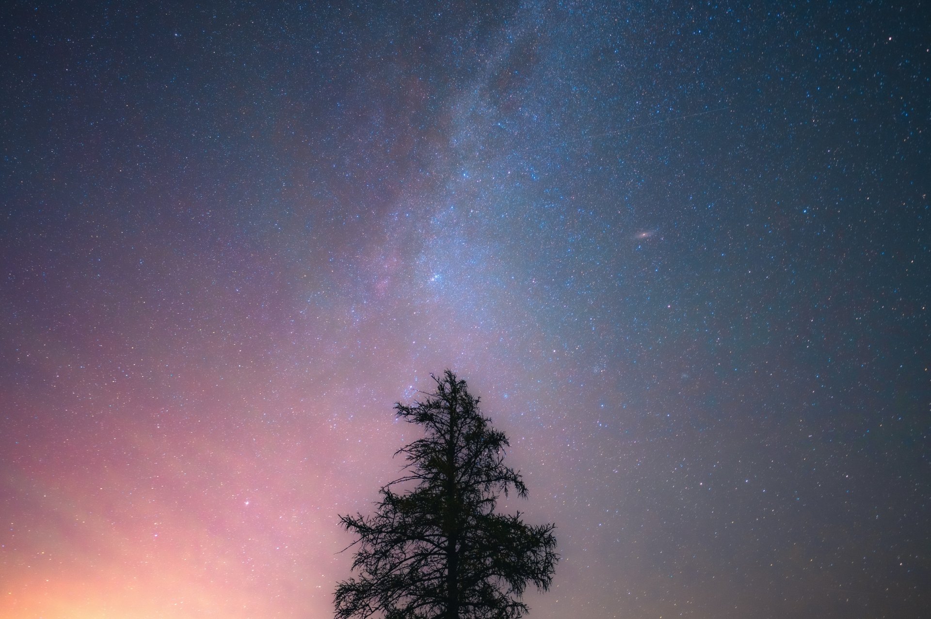 5K Ultra HD PC desktop wallpaper: solitary tree silhouette against a star-filled Milky Way with a soft pink and blue horizon, nature, tree.