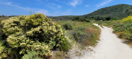  Hiking in Greater San Diego County – Landscape Photography