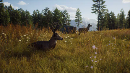 HD desktop wallpaper from Way of the Hunter video game featuring two deer in a sunlit forest clearing.