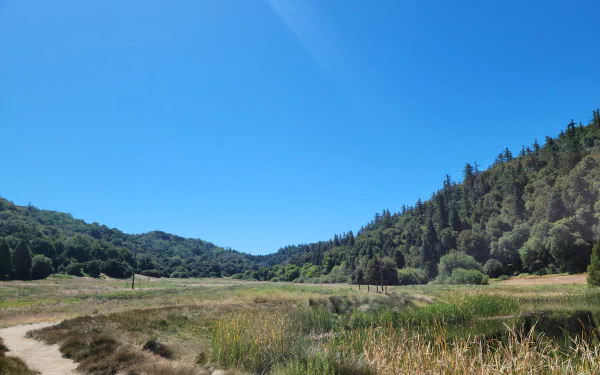  Palomar Mountain Hiking Trip in July - Doane Pond