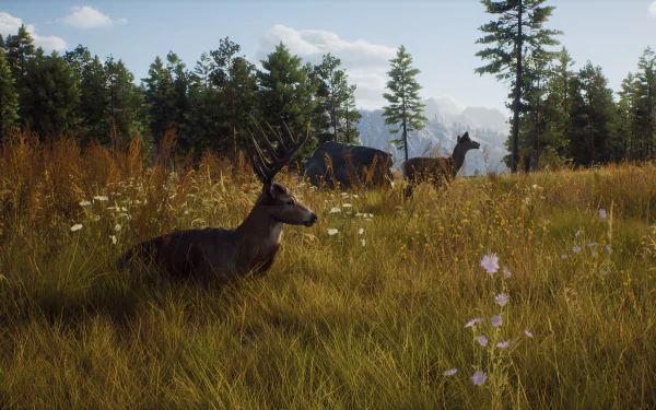 HD desktop wallpaper from Way of the Hunter video game featuring two deer in a sunlit forest clearing.