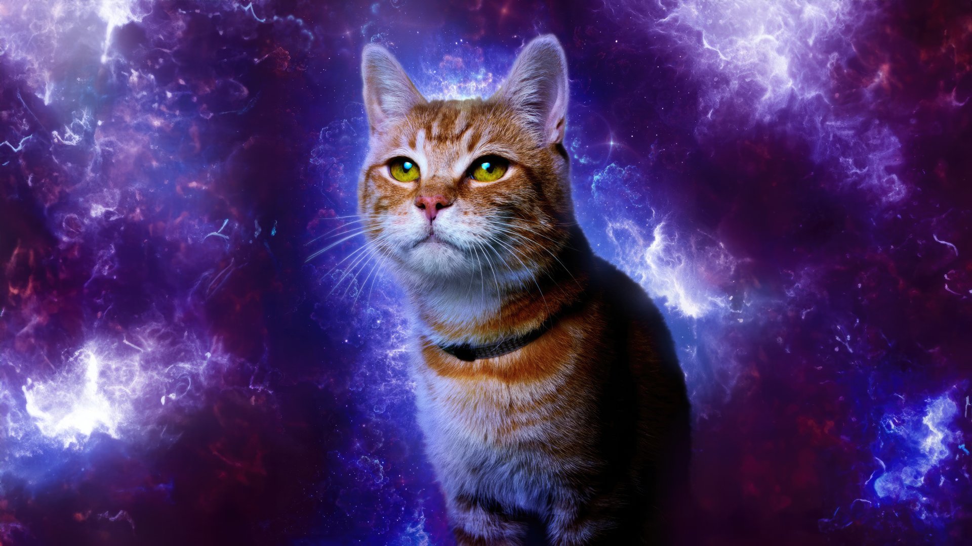 4K Ultra HD PC desktop wallpaper of a cat with a cosmic background inspired by the movie The Marvels.