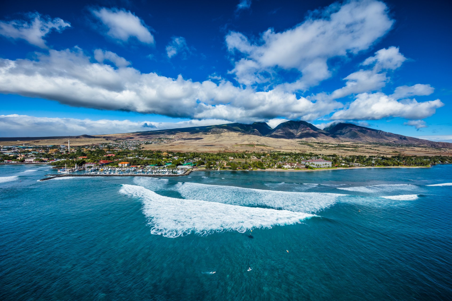 Lahaina Paddleboad Lovers by cameronbrooksart