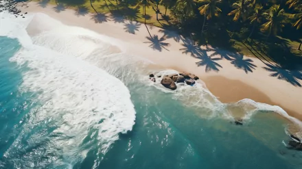 HD aerial desktop wallpaper of a lush tropical beach with palm tree shadows on the sand and waves gently lapping against the shore.