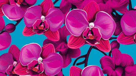 HD Orchid Flowers Desktop Wallpaper - Vibrant Magenta Orchids on Teal Background