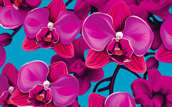 HD Orchid Flowers Desktop Wallpaper - Vibrant Magenta Orchids on Teal Background