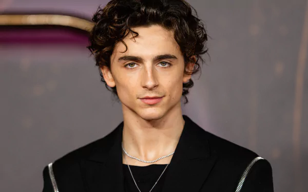 Alt Text: High definition desktop wallpaper featuring a portrait of a young male celebrity with curly hair, dressed in a stylish black outfit with a silver chain necklace.