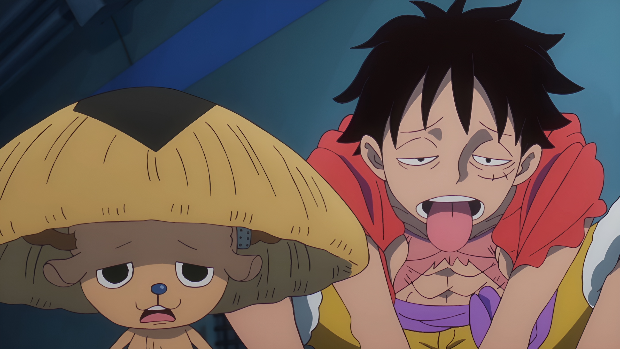 Buy Animation One Piece Tony Tony Chopper Costume Trafalgar Law Anime Manga  Plush Toy 12