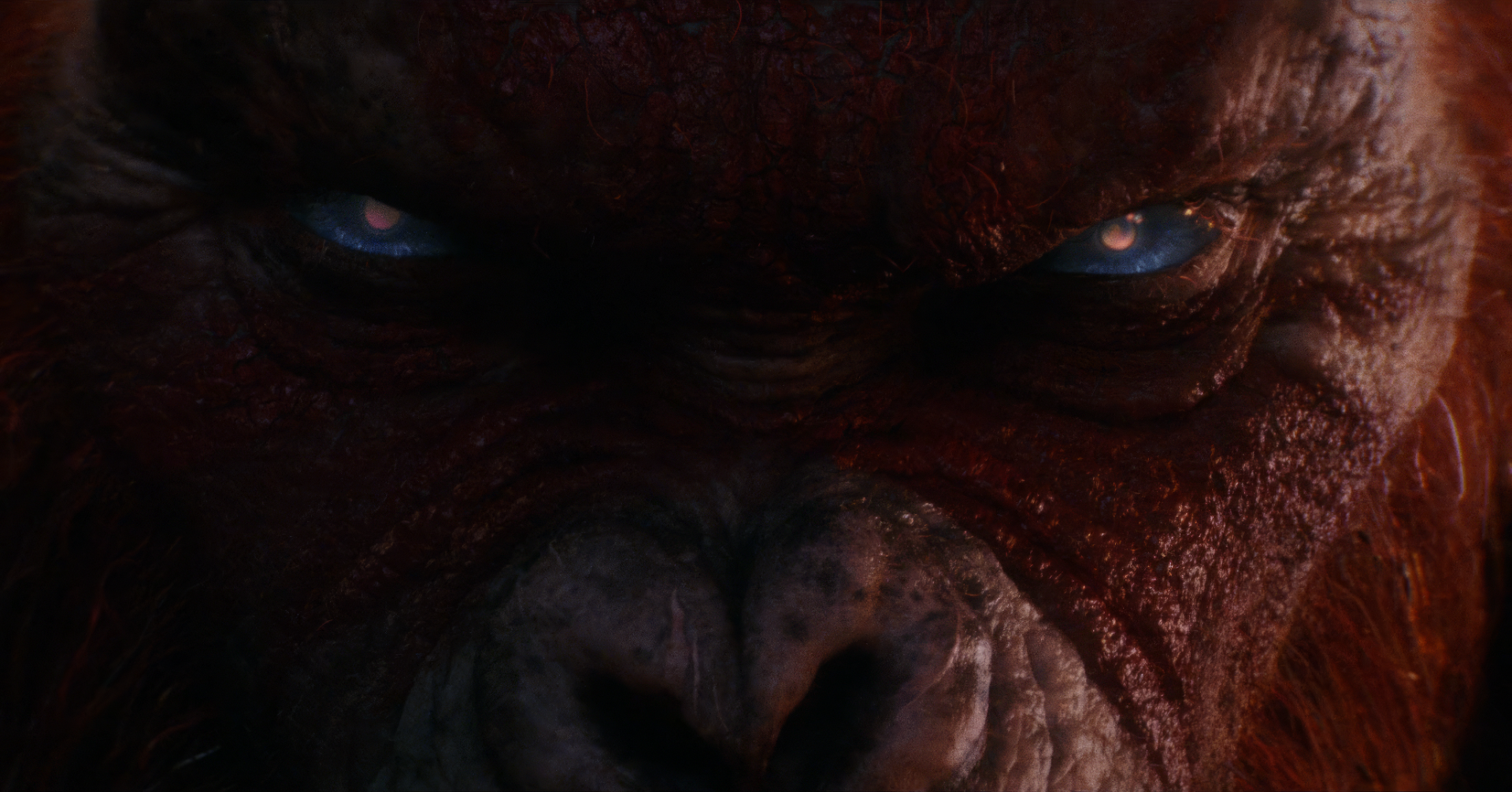 Close-up of a fierce, detailed creature's face from the movie Godzilla x Kong: The New Empire, serving as a stunning HD desktop wallpaper.