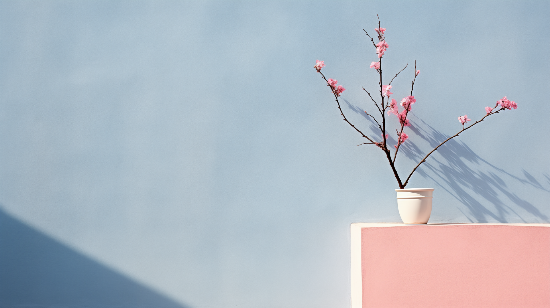 A minimalist HD wallpaper featuring a blooming branch in a white pot against a soft blue background, with negative space highlighting the delicate pink blossoms.